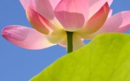 开云体育官网在线免费注册-疲惫是成长信号，坚持离梦想更近|长跑|极限|运动员|能量|人生_新浪新闻
